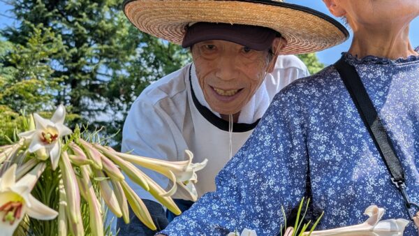 利用者さんが育てた鉄砲ユリ、今年も見頃です🌼
