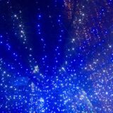 園庭イルミネーション点灯⭐