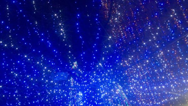 園庭イルミネーション点灯⭐