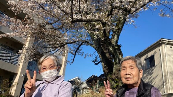 つかの間の春、満開の笑顔春